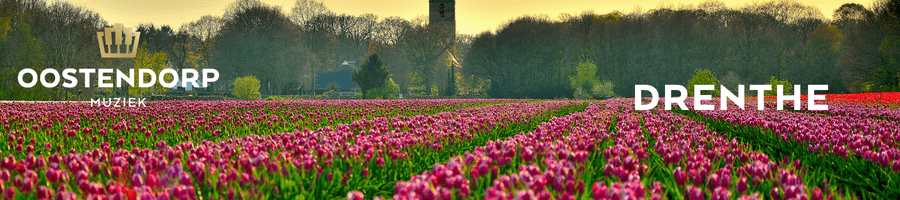 Oostendorp Muziek in Drenthe