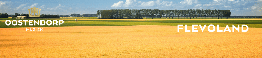 Oostendorp Muziek in Flevoland